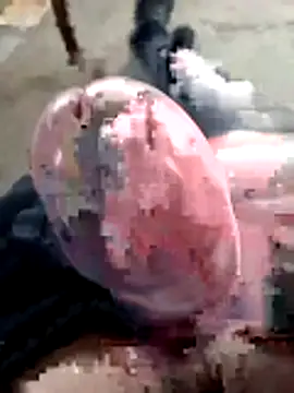 mar4oto1 online show from 03/14/26, 11:38