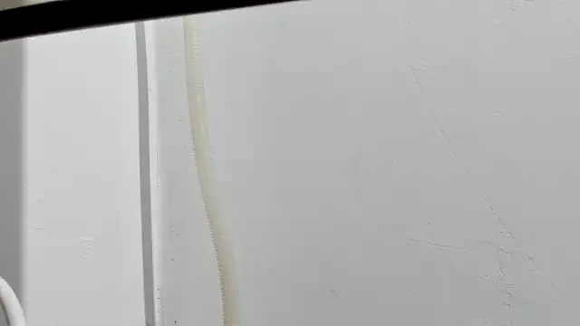 Aleshkastone online show from 01/11/26, 03:41