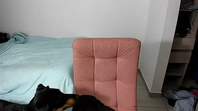 Greciaruiz  online show from 02/11/26, 11:26