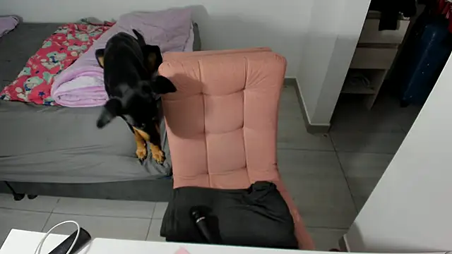 Greciaruiz  online show from 04/15/26, 01:22