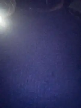 PPP 25 online show from 11/04/25, 07:50