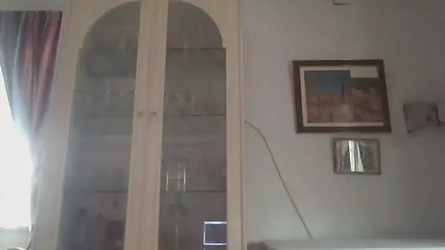 Snapshot of llopaco chatting on 12/21/25, 11:45 llopaco online show from 12/21/25, 11:45