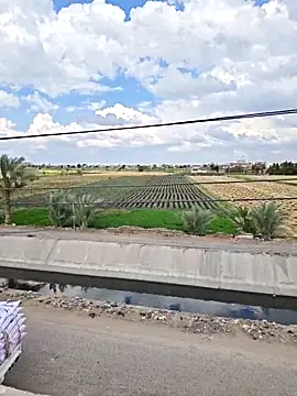 Loly2025 online show from 04/07/26, 01:24