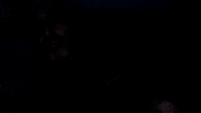 Snapshot of Novabear6996 chatting on 02/28/25, 10:30 Novabear6996 online show from 02/28/25, 10:30