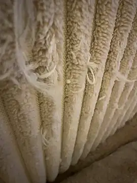 tiago499 online show from 02/07/26, 05:10