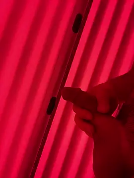 plaintreebull online show from 01/10/26, 07:42