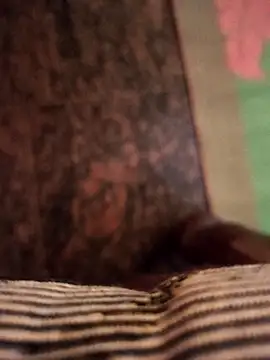 cocktony online show from 11/07/25, 10:31