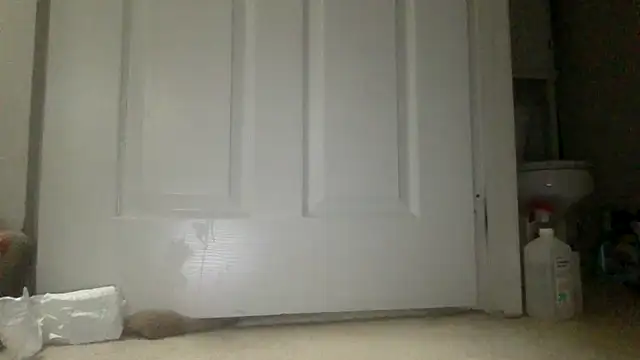 icedcoffeex online show from 04/16/26, 09:39