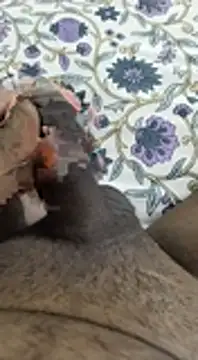 desi pb02 online show from 11/06/25, 04:16