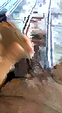 desi pb02 online show from 11/11/25, 04:29