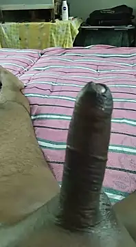 desi pb02 online show from 10/28/25, 04:02