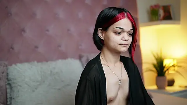 MaiaMini online show from 12/14/25, 08:58