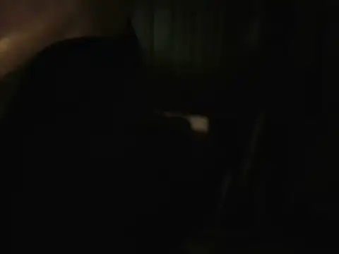 PreetyKitten online show from 12/16/25, 03:38