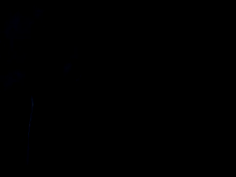 Snapshot of Holatpngo chatting on 11/09/25, 03:10 Holatpngo online show from 11/09/25, 03:10