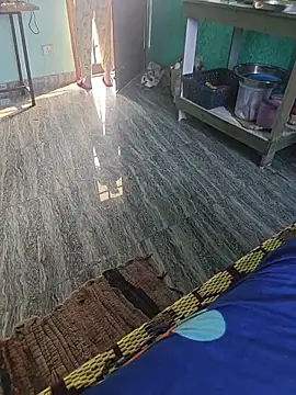 HorNy Bro Sis online show from 01/13/26, 06:06