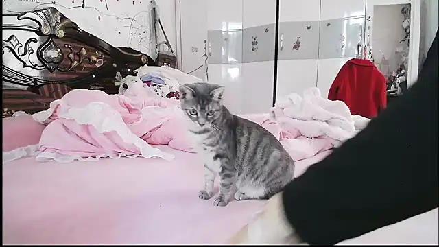 hebe-02 online show from 11/05/25, 02:14