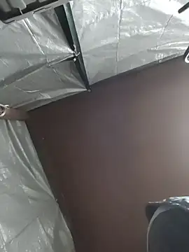 HTXBELLE online show from 12/05/25, 02:43