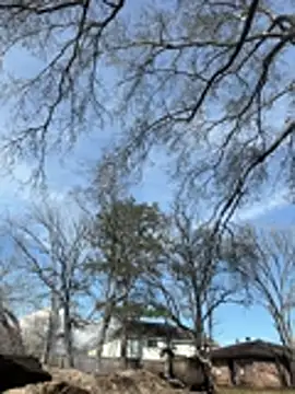 HTXBELLE online show from 02/09/26, 08:18