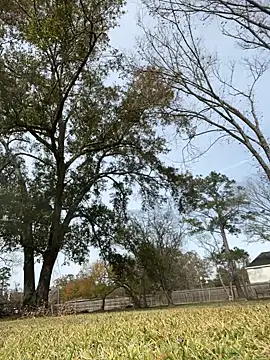 HTXBELLE online show from 12/16/25, 05:06