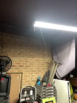 HTXBELLE online show from 02/13/26, 10:15