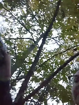 HTXBELLE online show from 11/29/25, 11:05