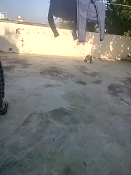 indian couple4 online show from 12/16/25, 09:02