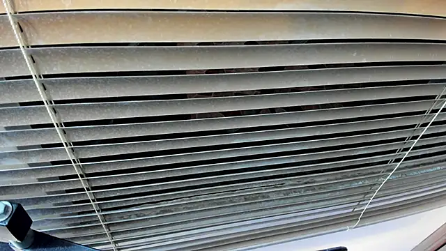 SaraClub JY online show from 10/21/25, 10:42