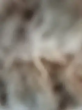 mauroxx08 online show from 04/05/26, 03:19