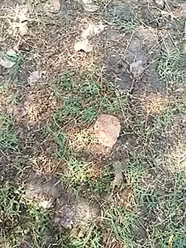 bairobunde online show from 04/05/26, 08:10