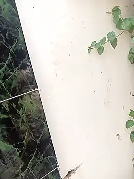 bairobunde online show from 04/17/26, 08:17