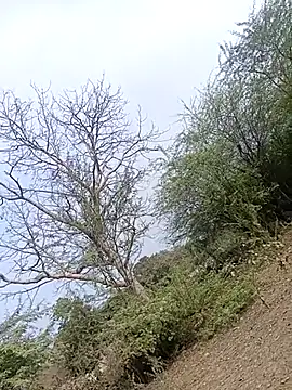 bairobunde online show from 02/02/26, 09:52