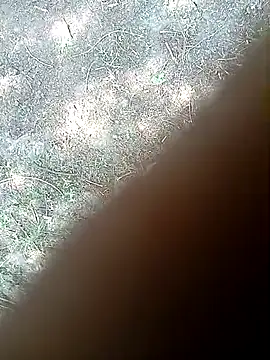 bairobunde online show from 03/21/26, 05:52