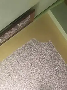 calme odl1 online show from 03/24/26, 10:26