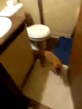 taterae online show from 10/19/25, 05:21