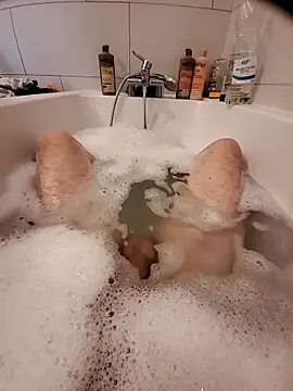 Snapshot of Jerome2312 chatting on 04/10/26, 12:45 Jerome2312 online show from 04/10/26, 12:45