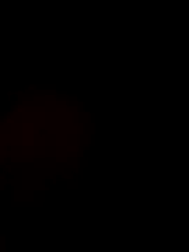 JBM007 online show from 03/01/26, 08:53