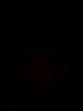 Snapshot of laraaaaaa chatting on 10/29/25, 12:20 laraaaaaa online show from 10/29/25, 12:20