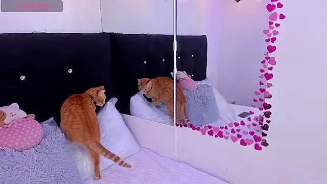 Anniie  Evans online show from 03/16/26, 05:05