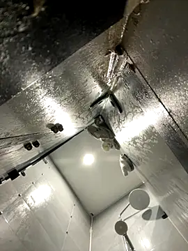 Snapshot of Anson0722 chatting on 11/03/25, 03:37 Anson0722 online show from 11/03/25, 03:37