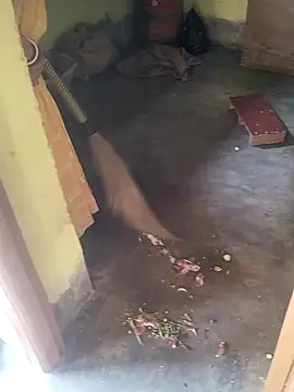 devarbhabhisexpower online show from 04/10/26, 02:29