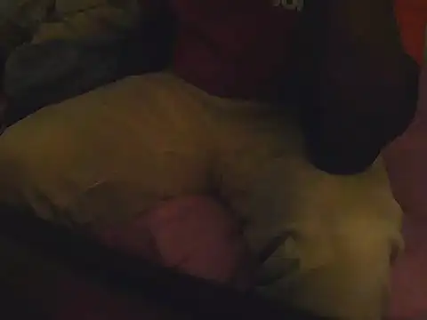 Fuckmehardandcloudy online show from 03/21/26, 08:46