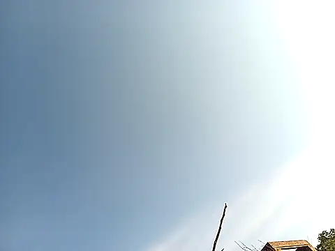 lilpip online show from 11/27/25, 04:02