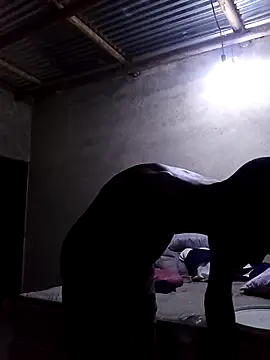 lilpip online show from 02/12/26, 07:13