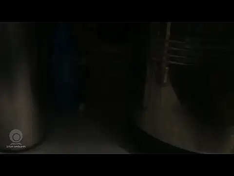 longsexji online show from 01/12/26, 04:36