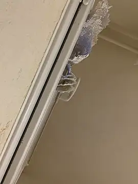 Snapshot of daniel21p chatting on 03/10/25, 06:34 daniel21p online show from 03/10/25, 06:34