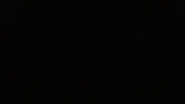 Pandora 9666 online show from 04/19/26, 06:10