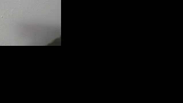 ava-am online show from 11/10/25, 03:44