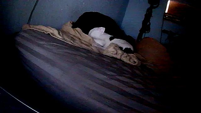 PornStro921 online show from 02/11/26, 08:20