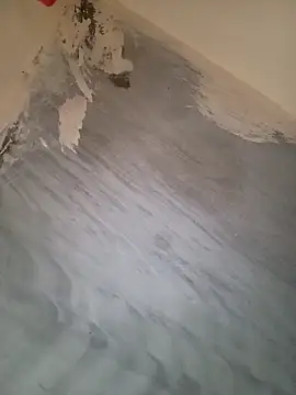 Snapshot of heena-3678 chatting on 09/24/25, 01:50 heena-3678 online show from 09/24/25, 01:50