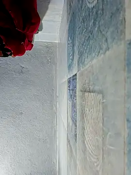 wildfun  online show from 10/22/25, 05:40